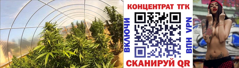 Дистиллят ТГК THC oil  Купить  Рубцовск 