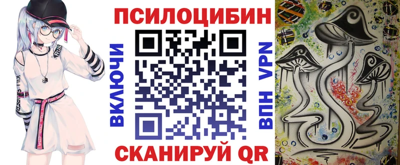 Псилоцибиновые грибы прущие грибы  Купить закладки  Рубцовск 